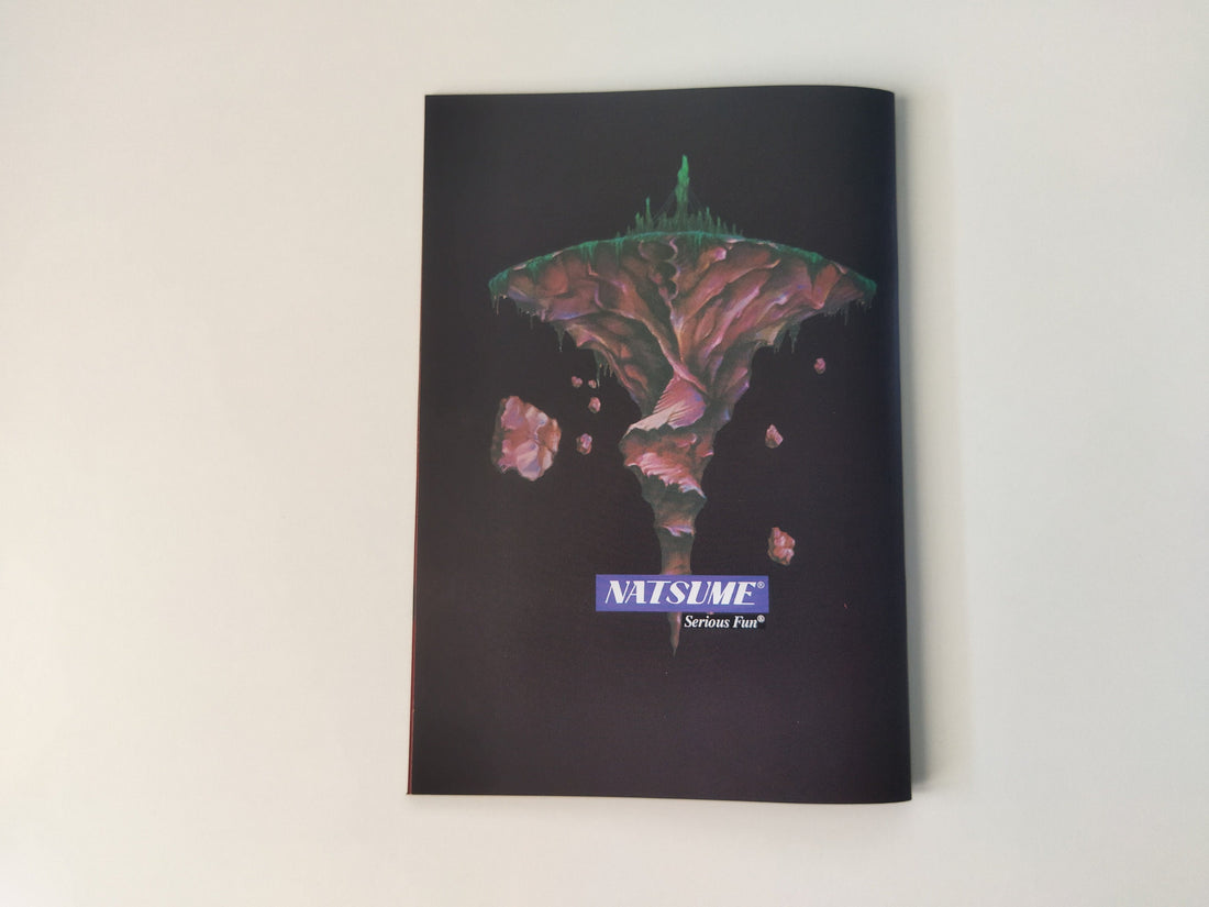 Lufia II Rise of the Sinistrals - Super Nintendo - Manual